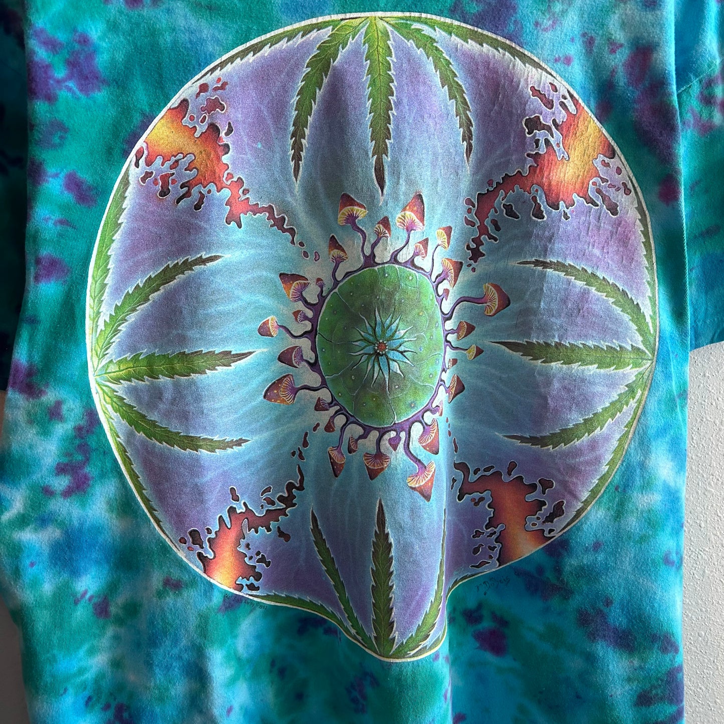 Vintage 90s Michael mike dubois not fade away 1993 Grateful Dead Tie Dye Shroom Weed drug t shirt